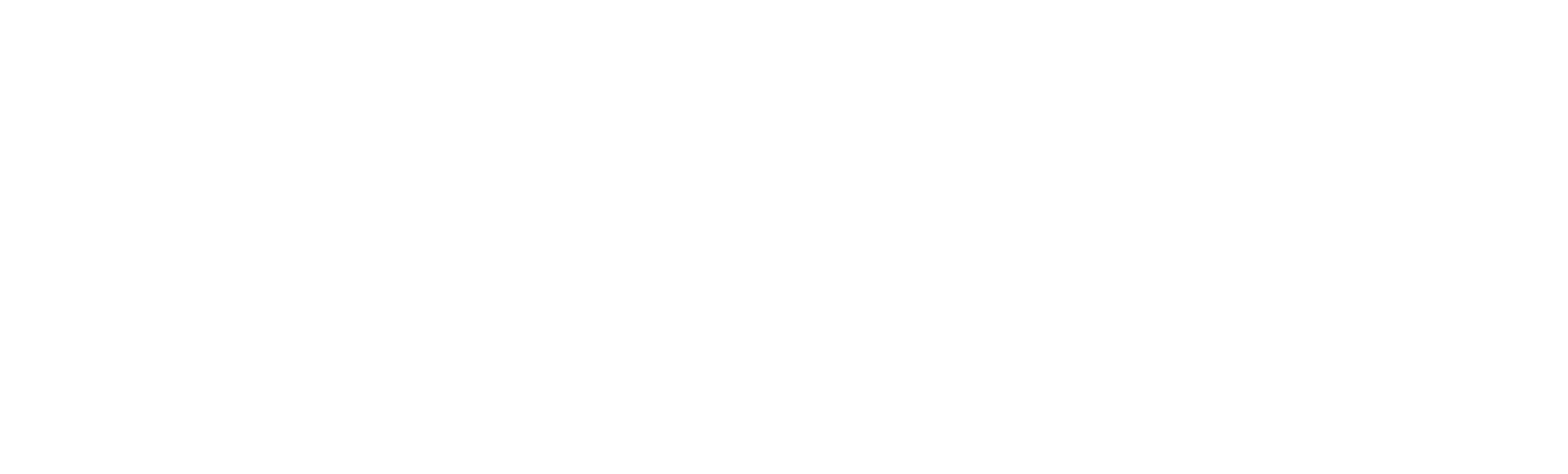 Éire Accelerationism Logo